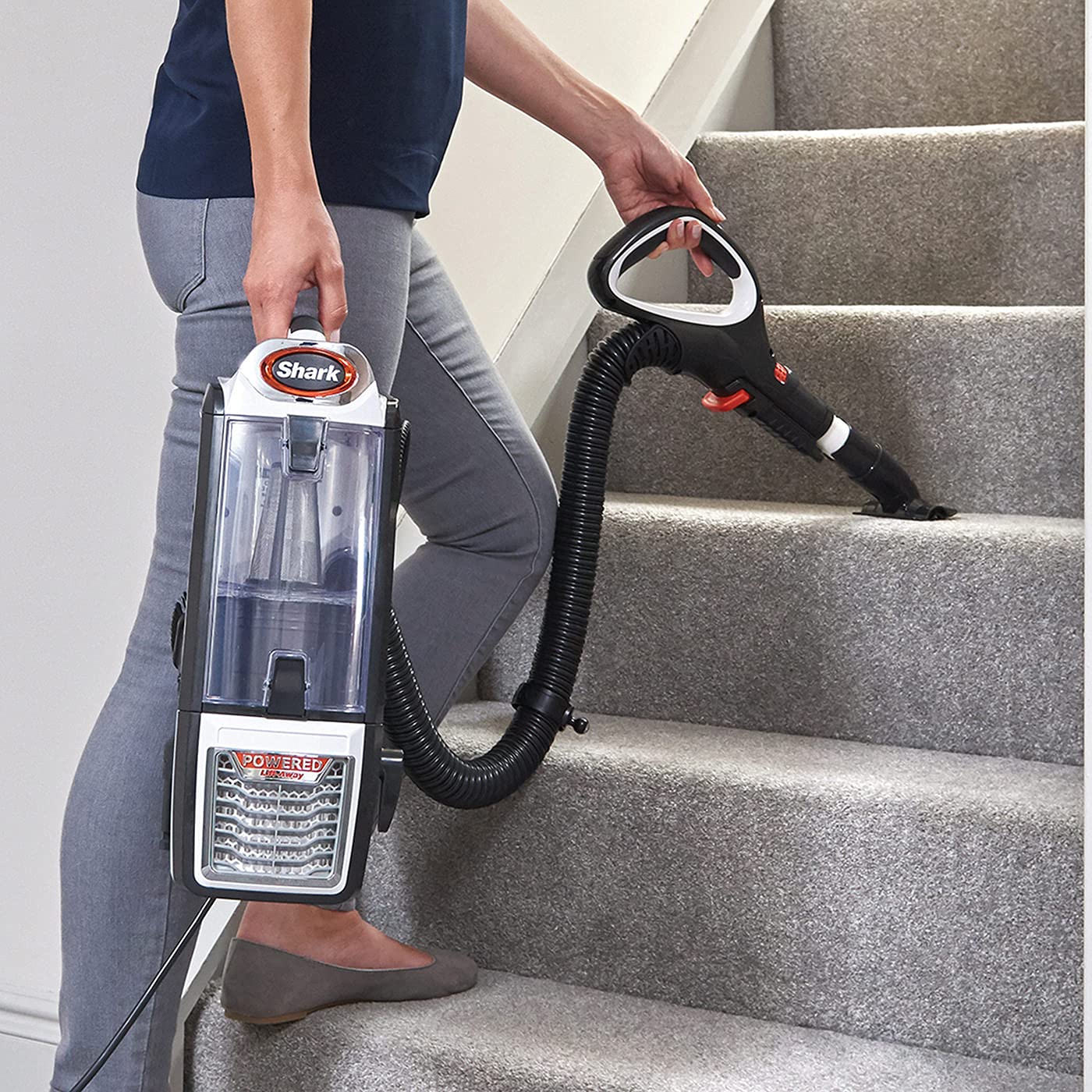 Shark Staubsauger 0,83L mit Anti-Hair-Wrap-Technologie, DuoClean- Staubsauger mit Powered Lift-Away und Polster- & Fugendüsen, 8m Netzkabel, Kohle/Orange NZ801EU, 29-30