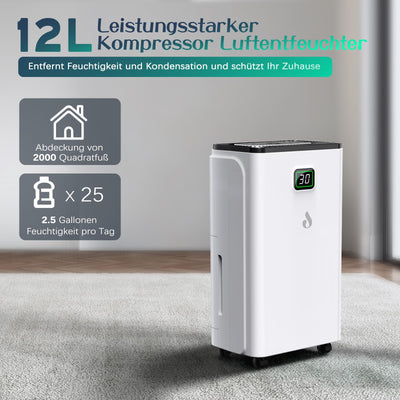 Luftentfeuchter 12L/Tag mit Digitaler Feuchtigkeitsanzeige, Automatische Entfeuchtung, 24H-Timer, Kontinuierliche Entwässerung, 2,5L Wassertank, Abflussschlauch, Ideal für Keller, Gegen Feuchtigkeit
