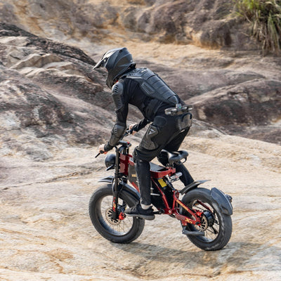 RZOGUWEX Elektrofahrrad, 20 Zoll 160NM Doppelmotor-Offroad-EBIKE für Erwachsene mit abnehmbarem 48V 30AH Lithium-Ionen-Akku, doppelte hydraulische Scheibenbremse