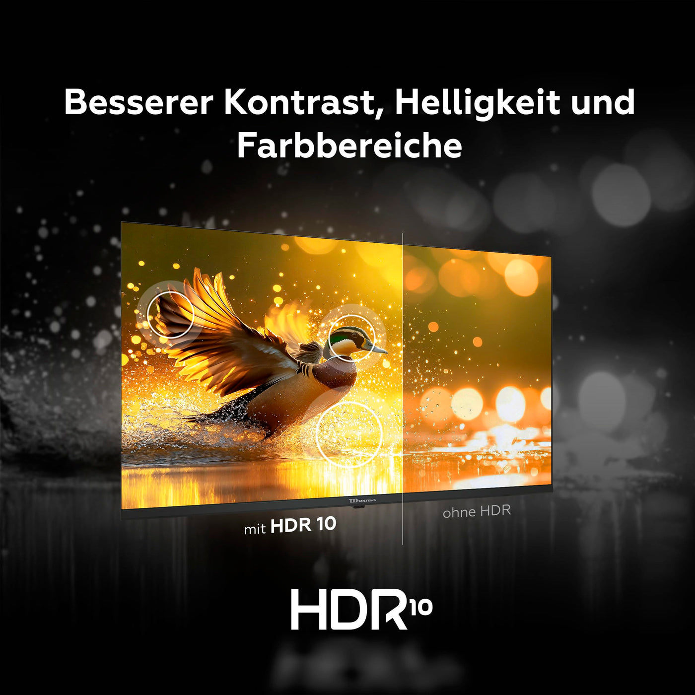 TD Systems - 32 Zoll Smart TV, Google TV, HD DVB-T2/C/S2 Television, Android 11, Modell 2025, Fernseher mit 2 Jahren Garantie - PRIME32C19GLE
