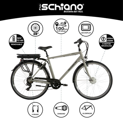 F.lli Schiano E-Moon, E Bike für die Stadt 28 Zoll, 36V 13Ah Abnehmbarer Akku, Motor 250W 40Nm, City Ebike für Herren, Grau