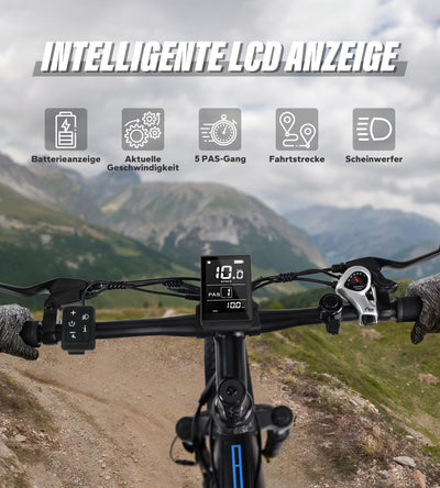 VARUN E-Fatbike, 26''*4.0 Elektrofahrrad für Damen und Herren, 48V/16Ah Abnehmbare Batterie, E Bike mit LCD, 250W Motor, rutschfeste Dicke Reifen,3 Fahrmodi,für Berg und Schnee
