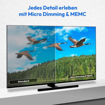 MEDION X15574 (MD 30987) 138,8 cm (55 Zoll) QLED Fernseher (Smart TV, 4K, Dolby Vision HDR, Dolby Atmos, Subwoofer, Netflix, Prime Video, PVR, Bluetooth, MEMC, Micro Dimming)