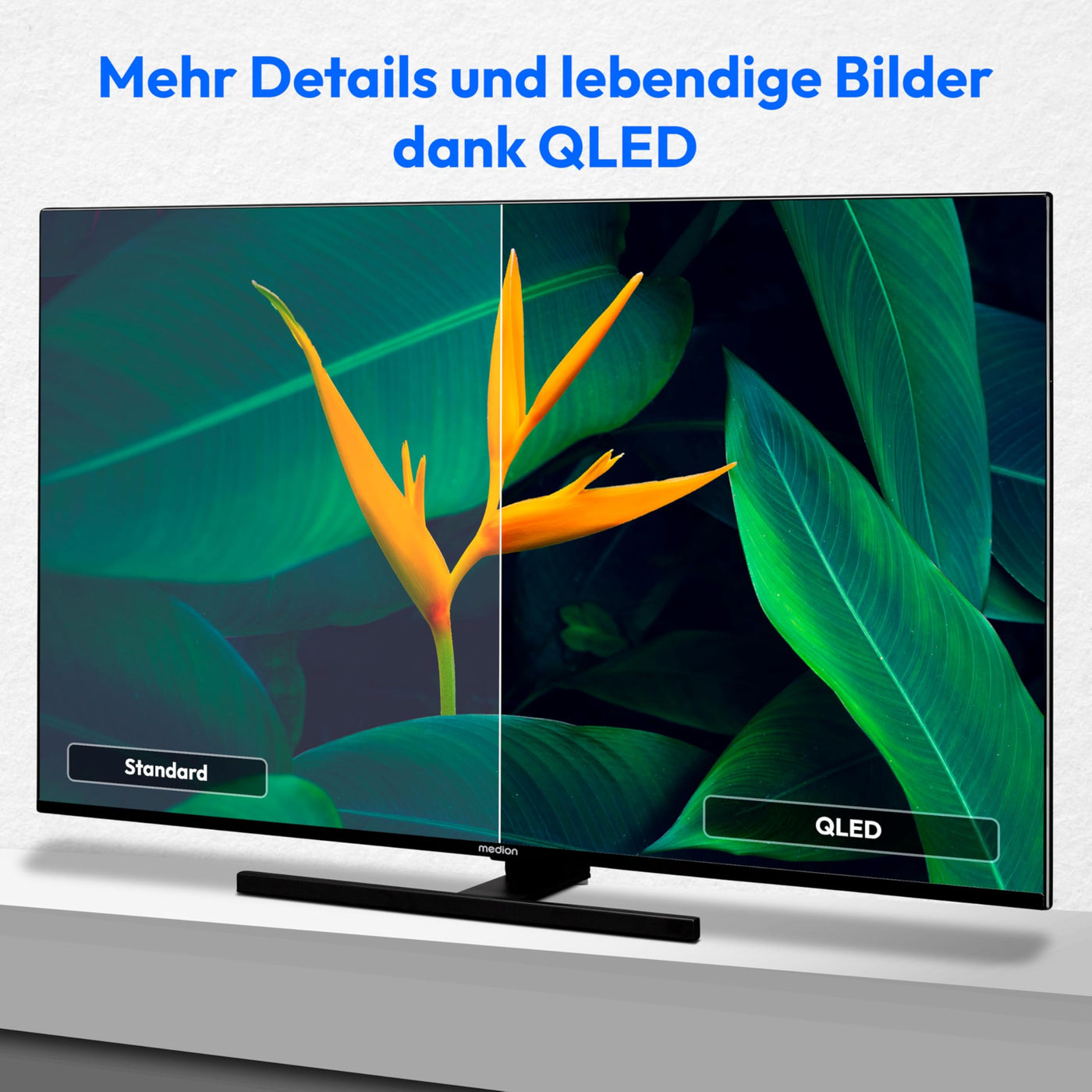 MEDION X14332 (MD 31410) 108 cm (43 Zoll) QLED Fernseher (Fire TV, 4K Smart TV, Dolby Vision HDR, Dolby Atmos, Netflix, Prime Video)