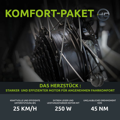 Highphoria Elektrofahrrad City E-Bike 26 Zoll für Damen, 25 km/h Tiefeinsteiger Elektrische Fahrrad mit Bafang-Motor 250W, 8 Gang Schaltung Pedelec(Weiß-Schwarz)