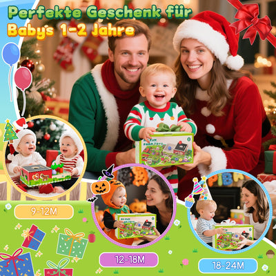 Montessori Spielzeug ab 1 2 Jahr: Geschenk Junge Mädchen 1-2 Jahre Kinderspielzeug Motorikwürfel Holzspielzeug Farmspiel mit Karte Karotten Steckspiel Lernspiel Kleinkinder ab 12 Monate Activity Spiel