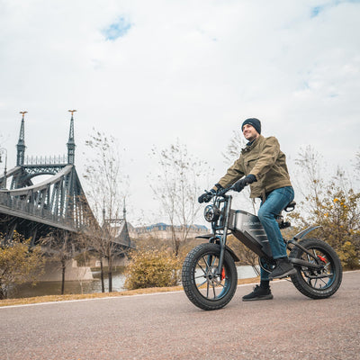 RZOGUWEX Elektrofahrrad, 20-Zoll-Offroad-EBIKE für Erwachsene mit abnehmbarem 48-V-25-Ah-Lithium-Ionen-Akku, doppelter hydraulischer Scheibenbremse mit geschmiedetem Mags-Rad
