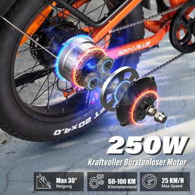 VARUN E Bike Herren und Damen Elektrofahrrad, Faltbares 20 * 4.0 Zoll E-Bike, mit 48V/13Ah Li-Ion Akku, LCD Display, Dual Shock Absorption, Leistung bis zu 100km, MTB