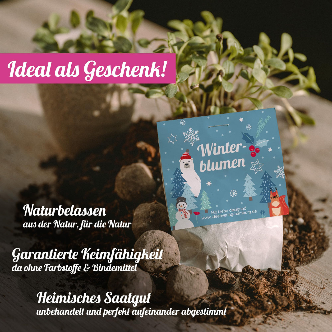 10x "Winterblumen" Winter Samenbomben Kindergeburtstag / treiben aus bei Kälte! / Geschenke Mitgebsel - Kinder Geburtstag Mitbringsel - Kleinigkeit give-away