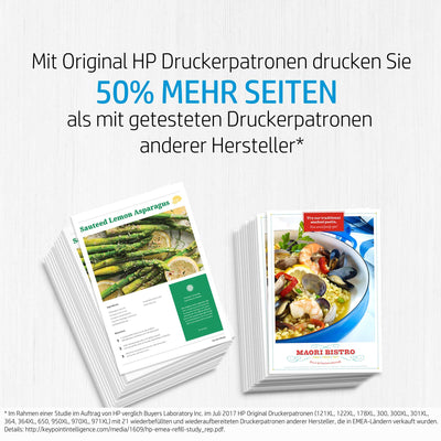 HP 305 (3YM61AE) Original Druckerpatrone Schwarz für HP DeskJet 27xx, 41xx, HP ENVY 60xx, 64xx
