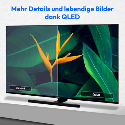 MEDION X15032 (MD 31411) 125,7 cm (50 Zoll) QLED Fernseher (Fire TV, 4K Smart TV, Dolby Vision HDR, Dolby Atmos, Netflix, Prime Video)