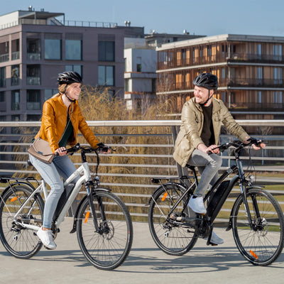 VecoCraft Athena E-Bike, e Bike Damen 28". Trekking Elektrofahrrad Herren Damen mit 36V 13Ah Akku, 250W-Heckmotor und 8-Gang-Getriebe, mit LCD Display, ebike Damen 28 Zoll