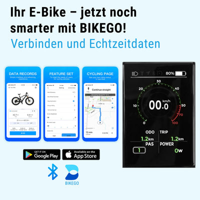 AsVIVA E-Bike B14 Stadtfalter 28 Zoll Citybike - Hollandrad für Damen & Herren | Elektrofahrrad Pedelec 25km/h | Tiefeinsteiger | 250W Motor - 36V 17.5 Ah mit bis zu 150 km Reichweite