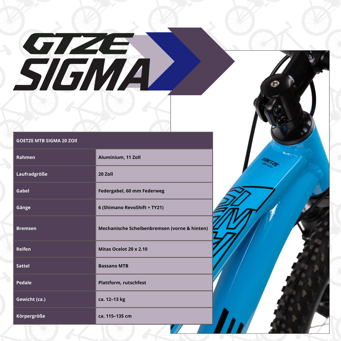 Goetze Sigma 20 x 2.10 Zoll Kinderfahrrad | MTB Hardtail | 6-Gang Kettenschaltung mit Drehgriff | Mechanische Scheibenbremsen | Aluminiumrahmen 11" | Federgabel | ab 115 cm Körpergröße