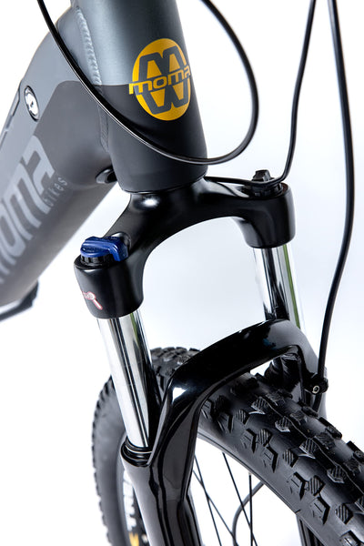 moma bikes Unisex-Adult EMTB 29" PRO Full SUSP. M-L Central Motor, Grey/Black