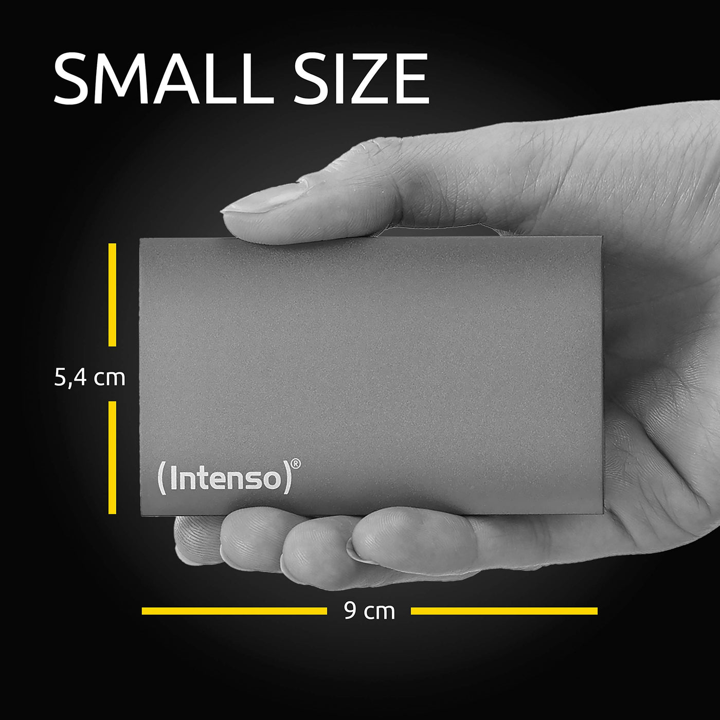 Intenso External SSD 256GB Premium