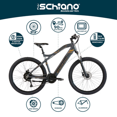 F.lli Schiano Braver, E Bike Mountainbike, 27.5 Zoll, 36V 11.6Ah Abnehmbarer Akku, Motor 250W 50Nm, MTB Ebike für Herren/Damen, Grau
