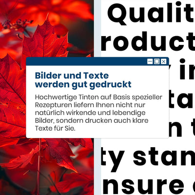 PG 540XL Schwarz Druckerpatronen Ersatz Kompatibel für Canon 540XL PG540 PG-540 XL Schwarz Patronen für Canon Pixma TS5150 TS5151 MG3550 MG3600 MG3650 MG3650s MG4200 MG4250 MX475 MX530 (1 Schwarz)