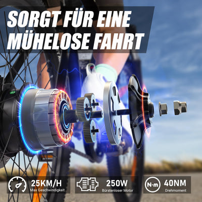 VARUN E Bike 24 Zoll, E-Mountainbike Herren Damen mit 250W Motor, 36V 7.8Ah Herausnehmbare Li-Ion Batterie, Aluminiumlegierung Elektrofahrrad, geeignet für Outdoor Kurztrips