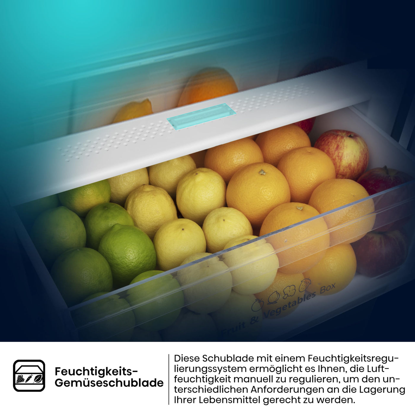 Hisense RB440N4AFA Kühl-Gefrier-Kombination/Höhe 201 cm/Kühlen 178 L/Gefrieren 98 L/LED Beleuchtung, Dark Inox