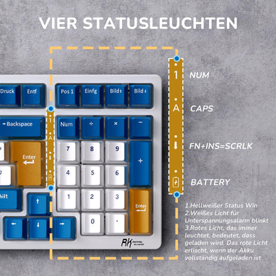 RK ROYAL KLUDGE RK98 Mechanische Tastatur Kabellose Gaming Tastatur 2.4G/Bluetooth 5.1/USB-C RGB Hinterleuchtet Deutsches Layout QWERTZ 100 Tasten Hot Swappable Braune Schalter, Weiß