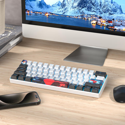 SOLIDEE mechanische Gaming Tastatur 60 Prozent,61 Tasten mit Lineare rote Schalter,kabelgebundene mechanische Tastatur mit LED-Hintergrundbeleuchtung,kompakte Tastatur,für PS5/PS4/Xbox(61 White)