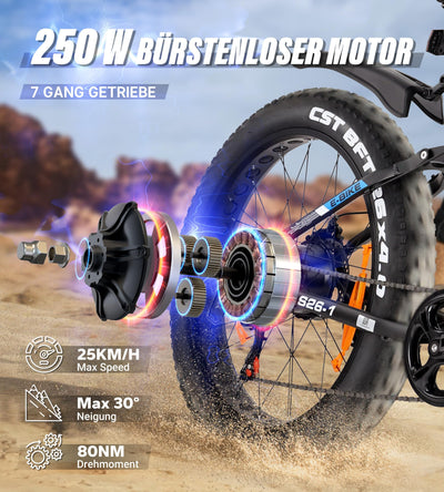 VARUN E Bike Elektrofahrrad mit 26 * 4.0 Zoll Fat Tire, 48V 16Ah(768Wh), Bis zu 120KM, E-Bike Herren mit 250W 80NM Motor, Elektrofahrräder Ebike mit 5 Modi, 7-Gang, LCD-Display, MTB mit EU-Konformes