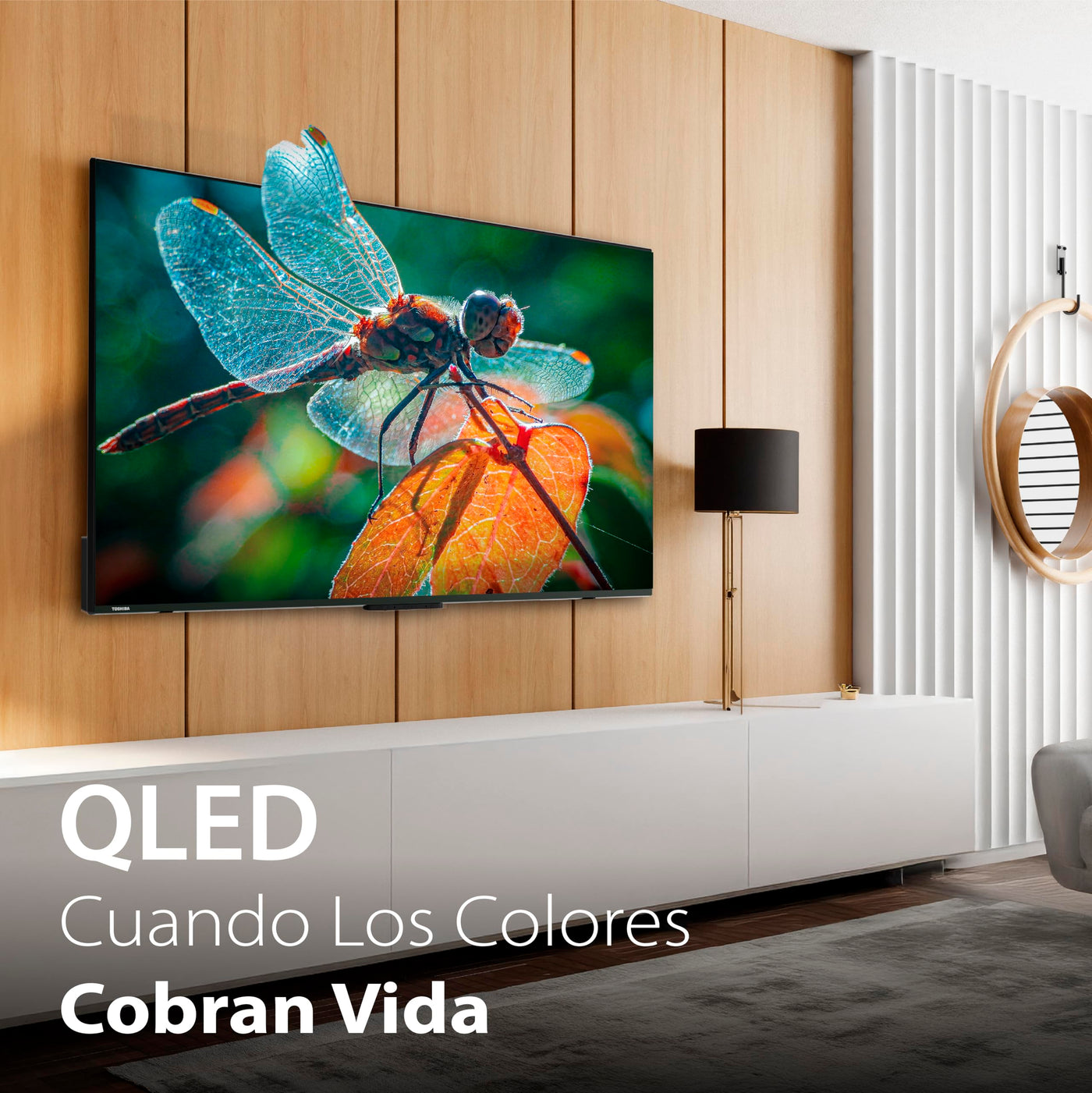 Toshiba 50QV3F63DG QLED-Premium-Fernseher, 127 cm, 4K Ultra HD, HDR, Smart-TV - (MEMC, Dolby Vision und Atmos, Bluetooth, rahmenloses Design)