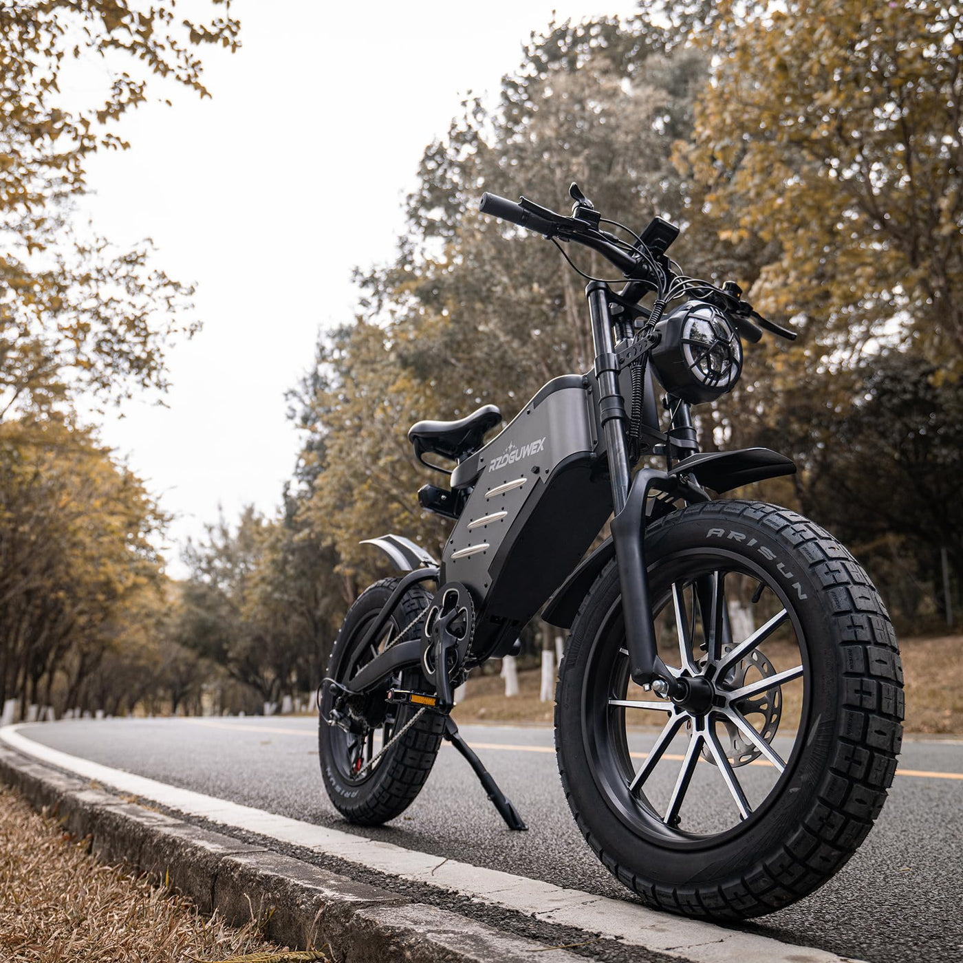 RZOGUWEX Elektrofahrrad, 20-Zoll-Offroad-EBIKE für Erwachsene mit abnehmbarem 48-V-25-Ah-Lithium-Ionen-Akku, doppelter hydraulischer Scheibenbremse mit geschmiedetem Mags-Rad