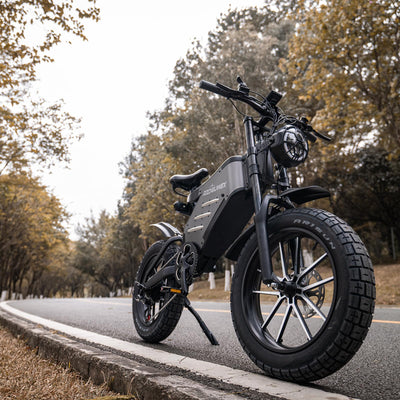 RZOGUWEX Elektrofahrrad, 20-Zoll-Offroad-EBIKE für Erwachsene mit abnehmbarem 48-V-25-Ah-Lithium-Ionen-Akku, doppelter hydraulischer Scheibenbremse mit geschmiedetem Mags-Rad