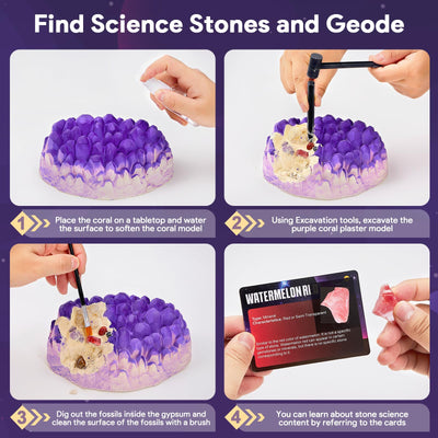 Mineralien Ausgrabungs-Set, Ausgrabungsset für Kinder, Jumbo Edelstein Experimentierset mit Mineralien Steine, Geoden, Kristalle Züchten, Geburtstag Party für Kinder Ab 6 7 8 9 10 Jahre Geschenk