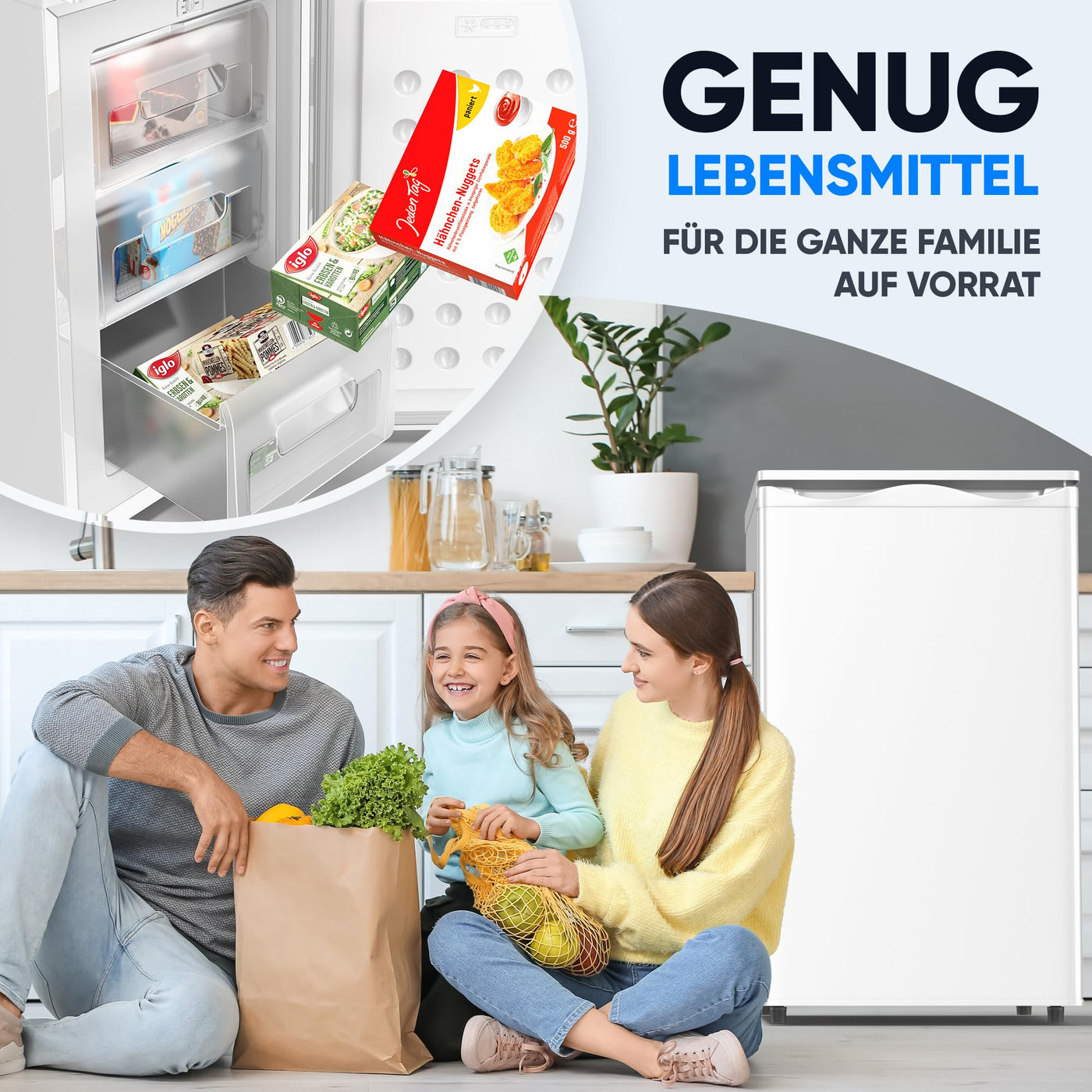 Stillstern Gefrierschrank E (73L) 4-Sterne-Gefrierfach -18°C, geringer Energieverbrauch, 3 Fächer, stufenlos regelbare Temperatur, wechselbarer Türanschlag, Klein Tiefkühlschrank