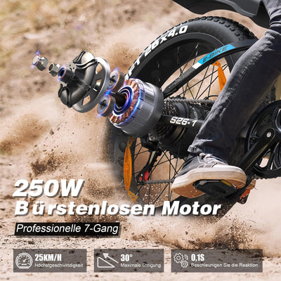 VARUN E-Fatbike, 26''*4.0 Elektrofahrrad für Damen und Herren, 48V/16Ah Abnehmbare Batterie, E Bike mit LCD, 250W Motor, rutschfeste Dicke Reifen,3 Fahrmodi,für Berg und Schnee