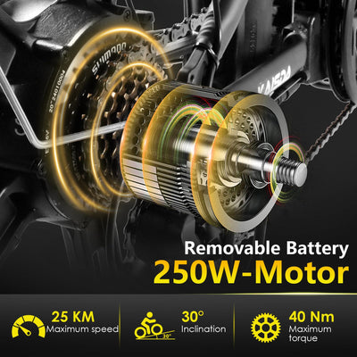 KAISDA E Bike Klapprad 20 Zoll Elektrofahrrad mit 36V 20.8Ah Abnehmbarer Akku,E-Bike 250W Motor bis 100KM,3.0 All-Terrain Fat Tire,7-Gang,LCD-Display Fahrrad für Herren Damen