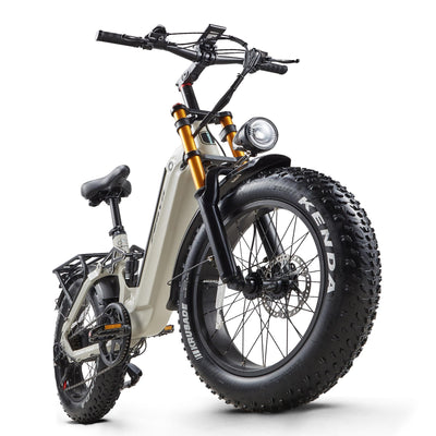 Ficyacto Elektrofahrräder 20x4.0 Zoll E-Bike Herren Damen Mit 48V 20AH Akku All-Terrain E-Mountainbike,7-Gang-Getriebe,Vollfederung City Ebike