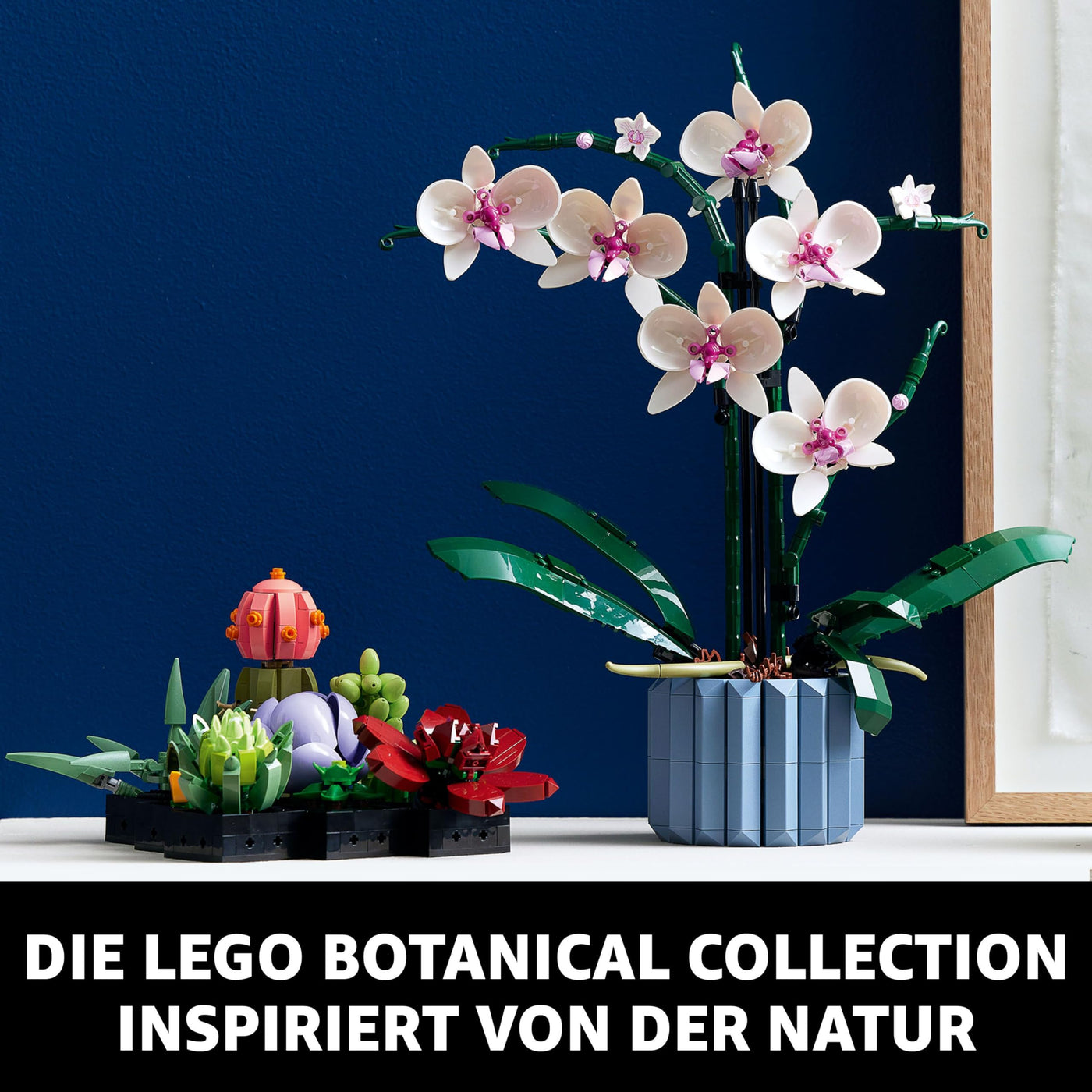 LEGO Botanicals Orchidee - Künstliche Pflanzen Set mit weißen und rosa Blumen - Modellbausatz für Erwachsene - Home und Zimmer-Deko - Botanik Kollektion - Geschenke für Frauen und Männer 10311