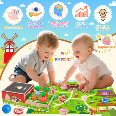 Montessori Spielzeug ab 1 2 Jahr: Geschenk Junge Mädchen 1-2 Jahre Kinderspielzeug Motorikwürfel Holzspielzeug Farmspiel mit Karte Karotten Steckspiel Lernspiel Kleinkinder ab 12 Monate Activity Spiel