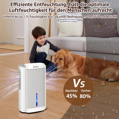 Luftentfeuchter, Luftentfeuchter Elektrisch, 1,1 l/T (2,5 l), Raumentfeuchter unter 30 dB für 30m² Wohnung Badezimmer, Keller, mit Automatischer Abschaltung und Abtauen, Farbiges Nachtlicht (Weiß)