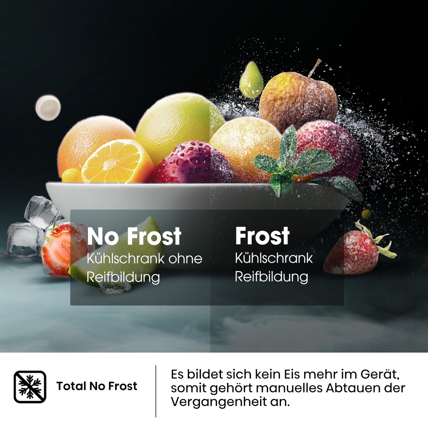 Hisense RB440N4ACA Kühl-Gefrier-Kombination/Höhe 201 cm/Kühlen 178 L/Gefrieren 98 L/LED Beleuchtung, Edelstahl