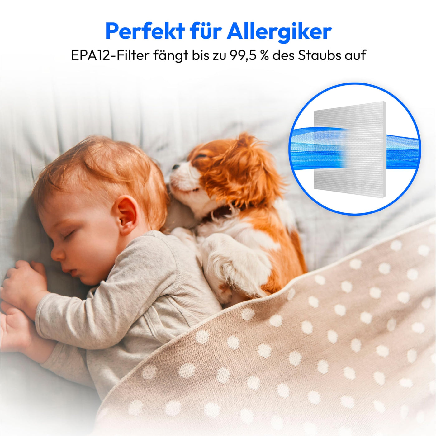 MEDION Zyklon-Staubsauger 800 Watt Leistung, 2 Liter Staubbehälterkapazität, 5 m Arbeitsradius, waschbarer EPA-Filter E12, MD 19407, blau