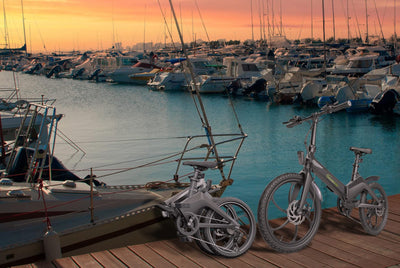 SachsenRAD F11 MagPuma Falt-Elektrofahrrad mit IF-Designsieger-Transporttasche, ultraleichter Magnesiumrahmen nur 19 kg, 20 Zoll mit StVZO-Zulassung