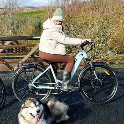 HOVSCO E-Bike, 27.5" 28" E-Mountain Bike, City Bike, 250W Bafang Motor, 36V 12.5Ah Abnehmbarer Akku, 7-Gang, Shimano Schaltung, Doppelscheibenbremse, Elektrofahrrad für Damen Herren