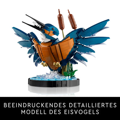 LEGO Icons Eisvogel Modellbausatz für Erwachsene, Vogel-Modell fürs Wohnzimmer oder Büro, Wohn- und Homeoffice-Deko, Geschenk für Vogelliebhaber und Ornithologen, Frauen und Männer 10331