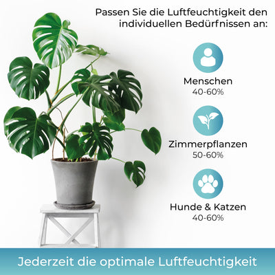 KLAMER Luftbefeuchter 4L Top Fill, Leise 30dB, 40h Laufzeit, 300 ml/h, 3 Stufen - Ideal für Büro, Schlaf- & Kinderzimmer bis 45m²