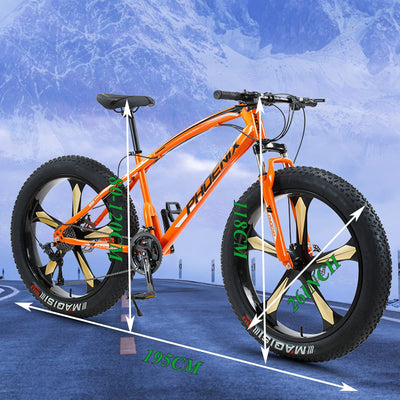 MEVZHH 26 Zoll Mountainfür Jungen, Mädchen, Hardtail, Scheibenbremsen, Männerd Frauen, Erwachsene Fett Reifen Mountainbike, Kohlenstoffstastrand Schnee Outdoor, Weiß 5 Gesprochen, 24 Geschwindigkeit