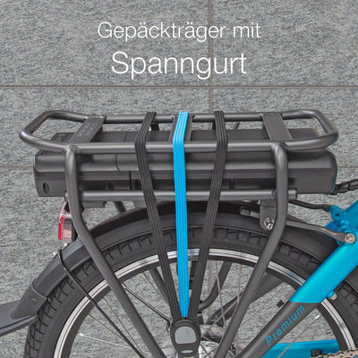 aktivelo E-Bike Klapprad 20 Zoll, Elektrofahrrad klappbar, Faltrad, E Bike Herren, E Bike Damen, 250W Ananda Mittelmotor, 36V/10,4Ah Lithium-Ionen-Akku,7-Gang, Schiebehilfe