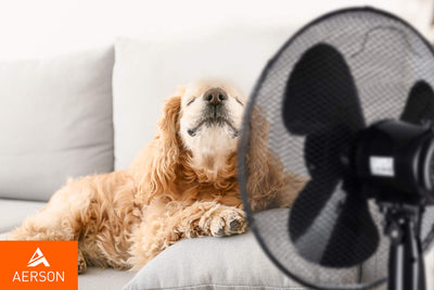 TRESKO AERSON Standventilator 40cm | Ventilator höhenverstellbar bis 120cm | hoher Luftdurchsatz und sehr leise | Windmaschine mit 3 Geschwindigkeitsstufen | Oszillationsfunktion ca. 80° (Schwarz)