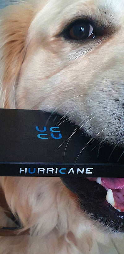 HURRICANE GD25612 Externe Festplatte 1TB Speicher 2,5" USB 3.0 TV PC Ps4 Ps5 Xbox kompatibel mit Windows Mac Linux