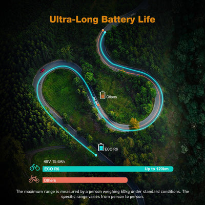 ECORUSH ECO R6 E Bike Mountainbike, E-Bike mit 48V/15,6Ah Lithium-Akku, Hochfester Körper, 20×4,0 Zoll Fat Tire, 7-Gang, LCD-Display, 250W Motor & 25Km/h Elektrofahrräder für Herren und Damen