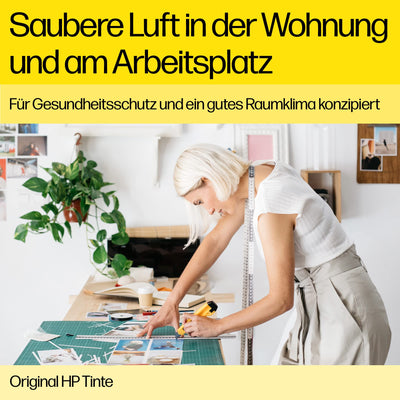 HP 304 (3JB05AE) Multipack Original Druckerpatronen 1xSchwarz,1x Farbe für HP DeskJet 26xx, 37xx, ENVY 50xx, Standard, 2 Count (Pack of 1), 120 Seiten (Schwarz)